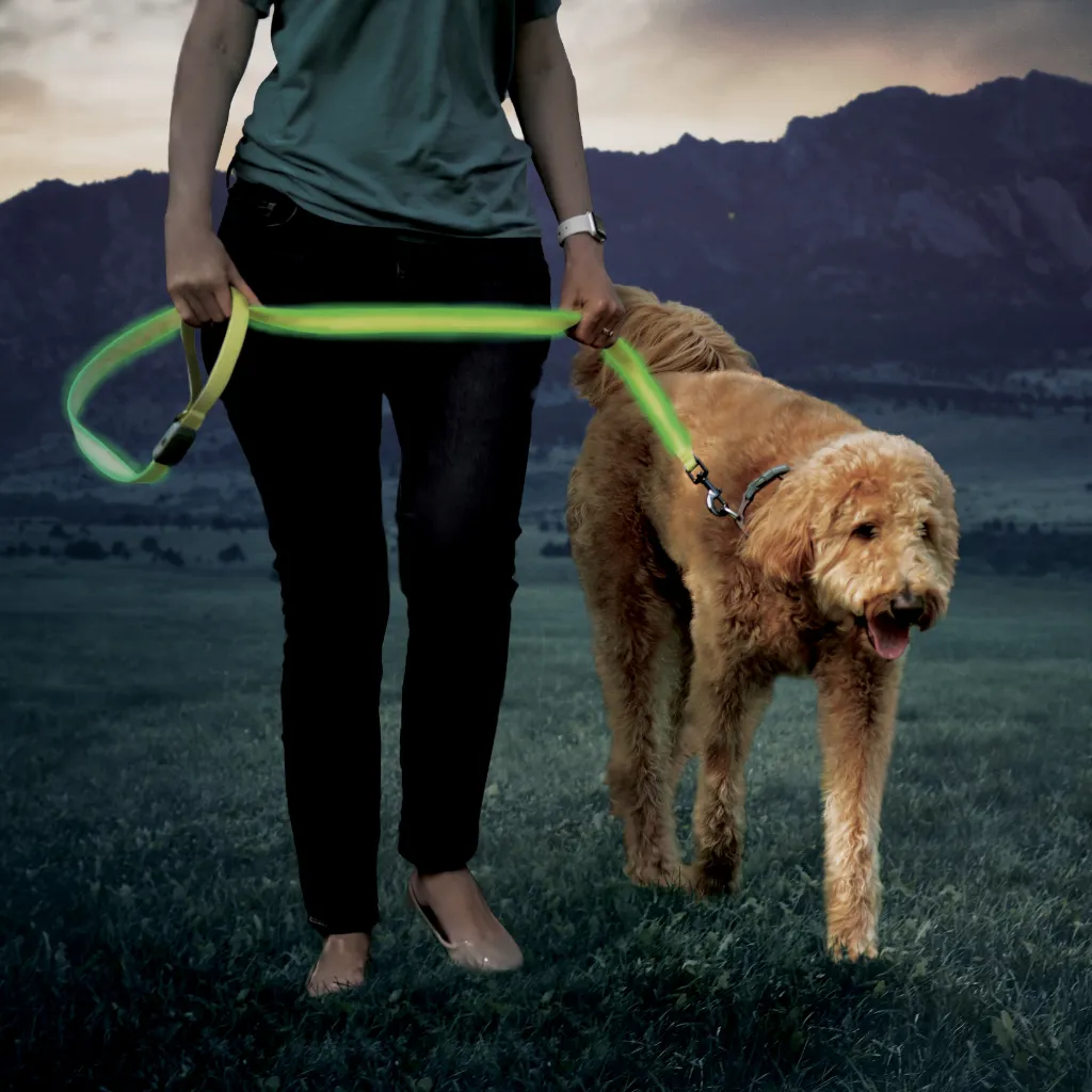 Nite Ize NiteDog Rechargeable LED Leash Red LED