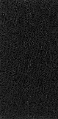 Nuostrich-8