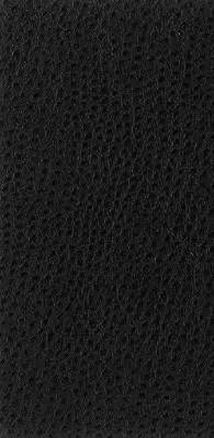Nuostrich-8