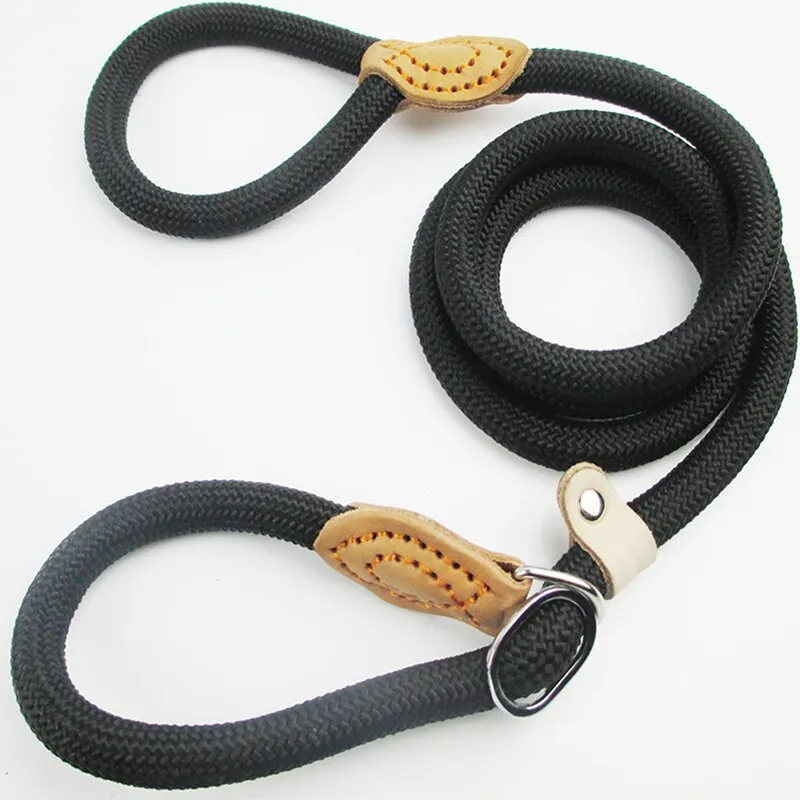Nylon Leash