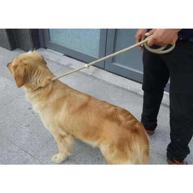 Nylon Leash