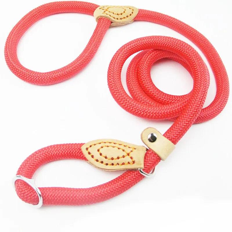 Nylon Leash