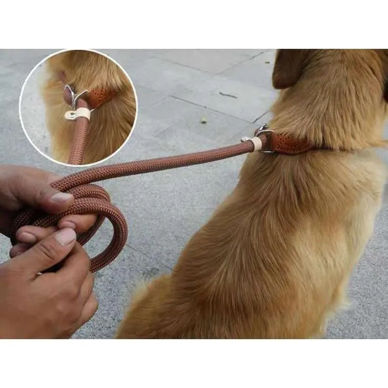 Nylon Leash