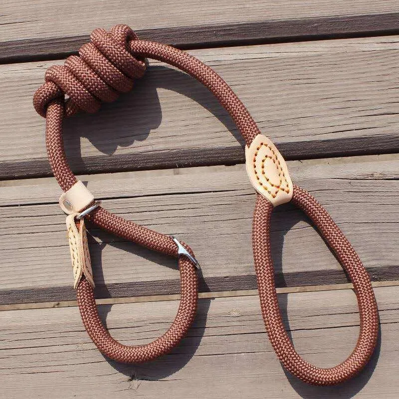 Nylon Leash