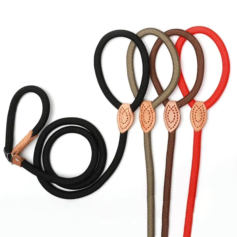 Nylon Leash