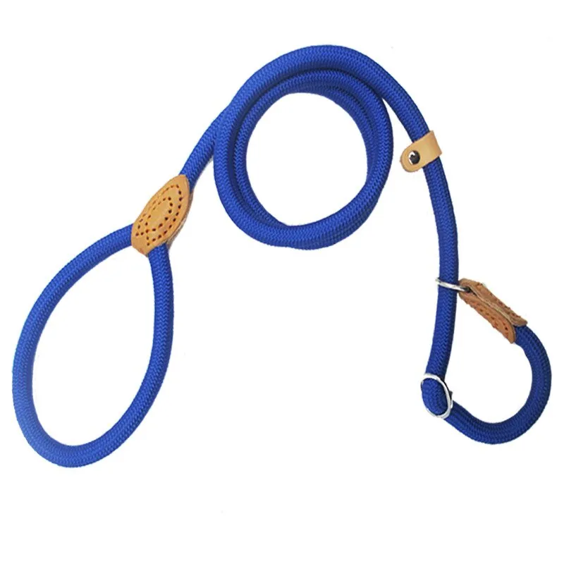 Nylon Leash