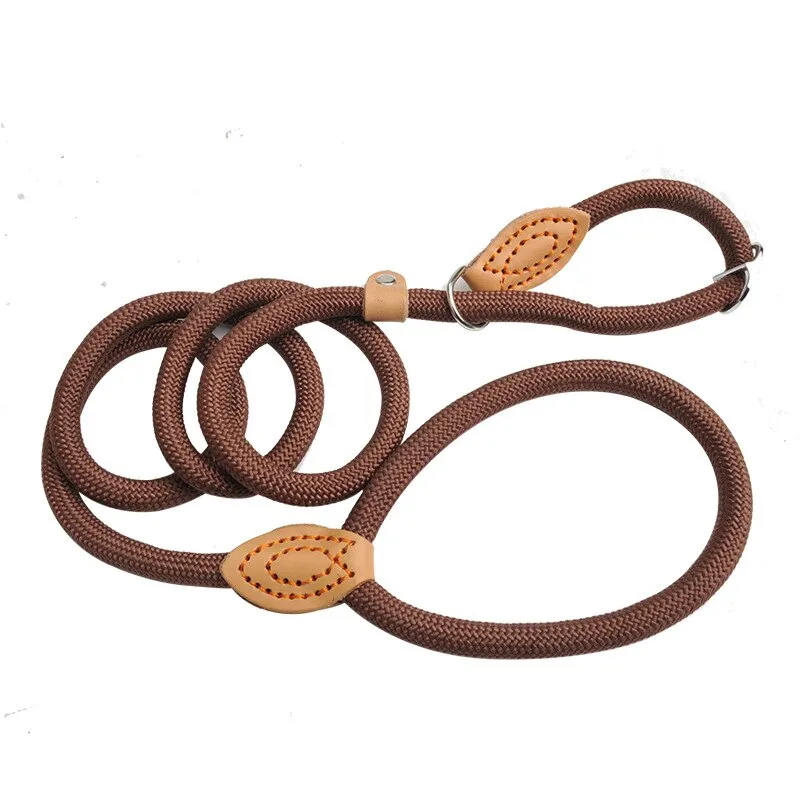 Nylon Leash