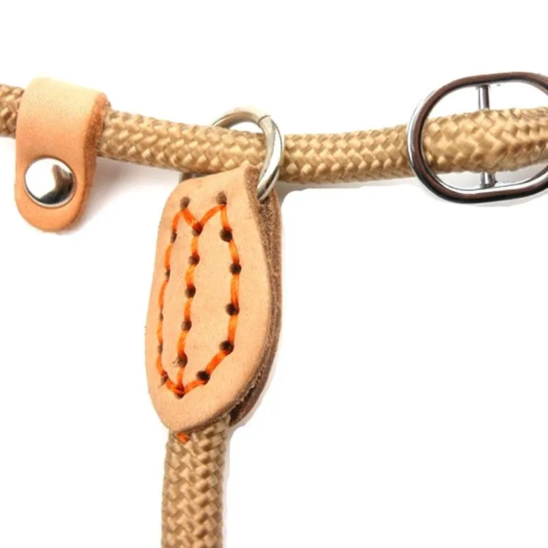 Nylon Leash