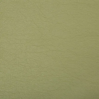 Optima-Green Tea