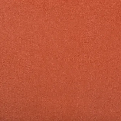 Optima-Nectarine