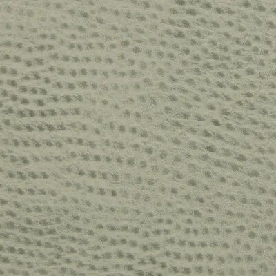 Ossy-135