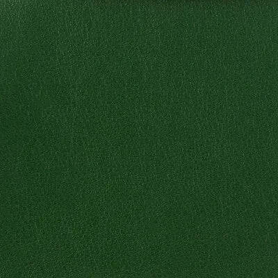 Otto-3