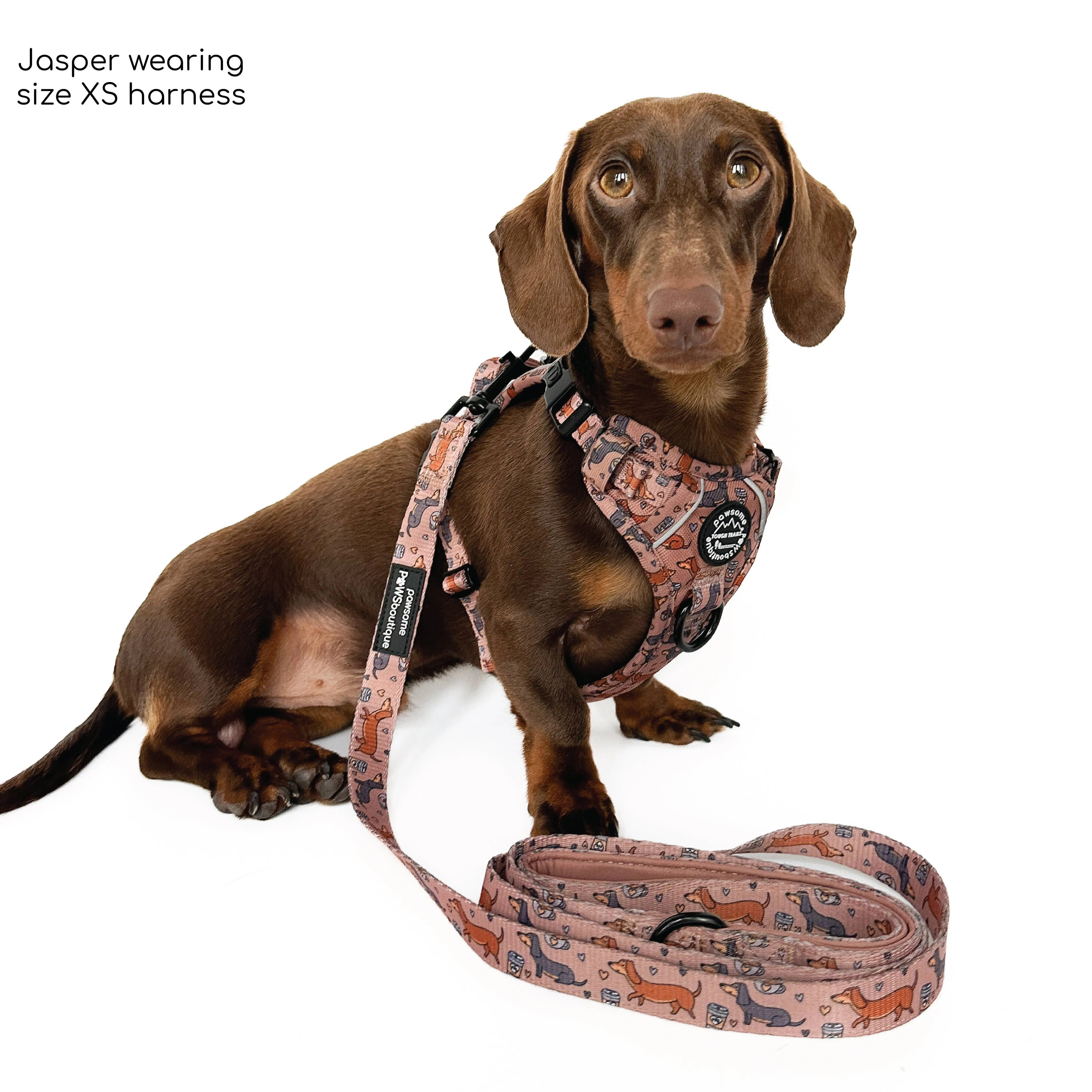 Pawsome Paws Boutique 5Ft Lead Coffee Beans   Little Weens