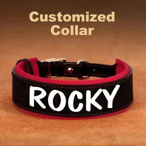 Personalized PU Leather Dog Collar | Wide Padded Pet ID Collars Free Print Dogs Name Collars for Small Medium Large Dogs