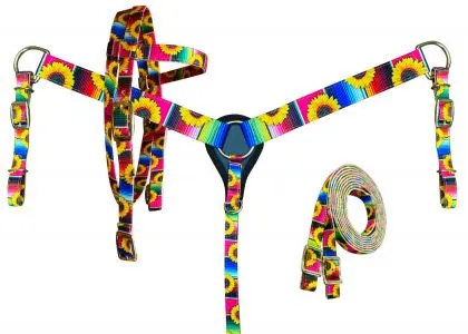 PONY SIZE Nylon Headstall & Breastcollar set With Serape and Sunflower Print Design