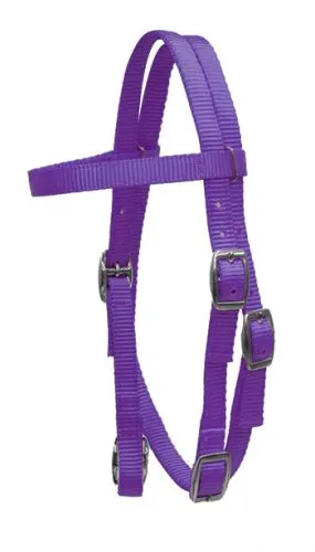 Pony Size Premium nylon browband headstall