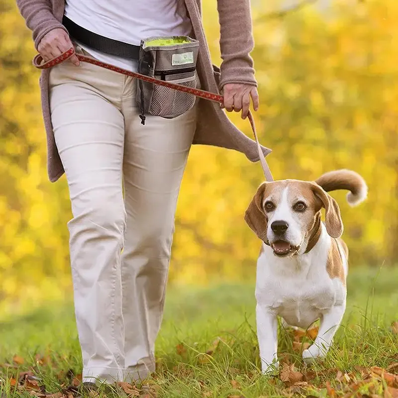 Portable Dog Training Treat Snack