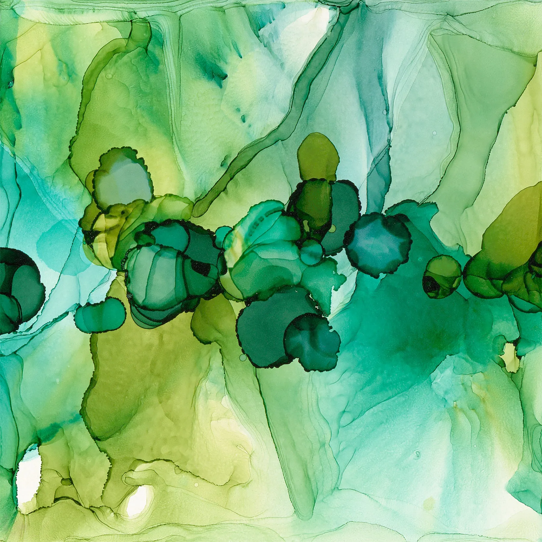 "Dotscape Emerald"