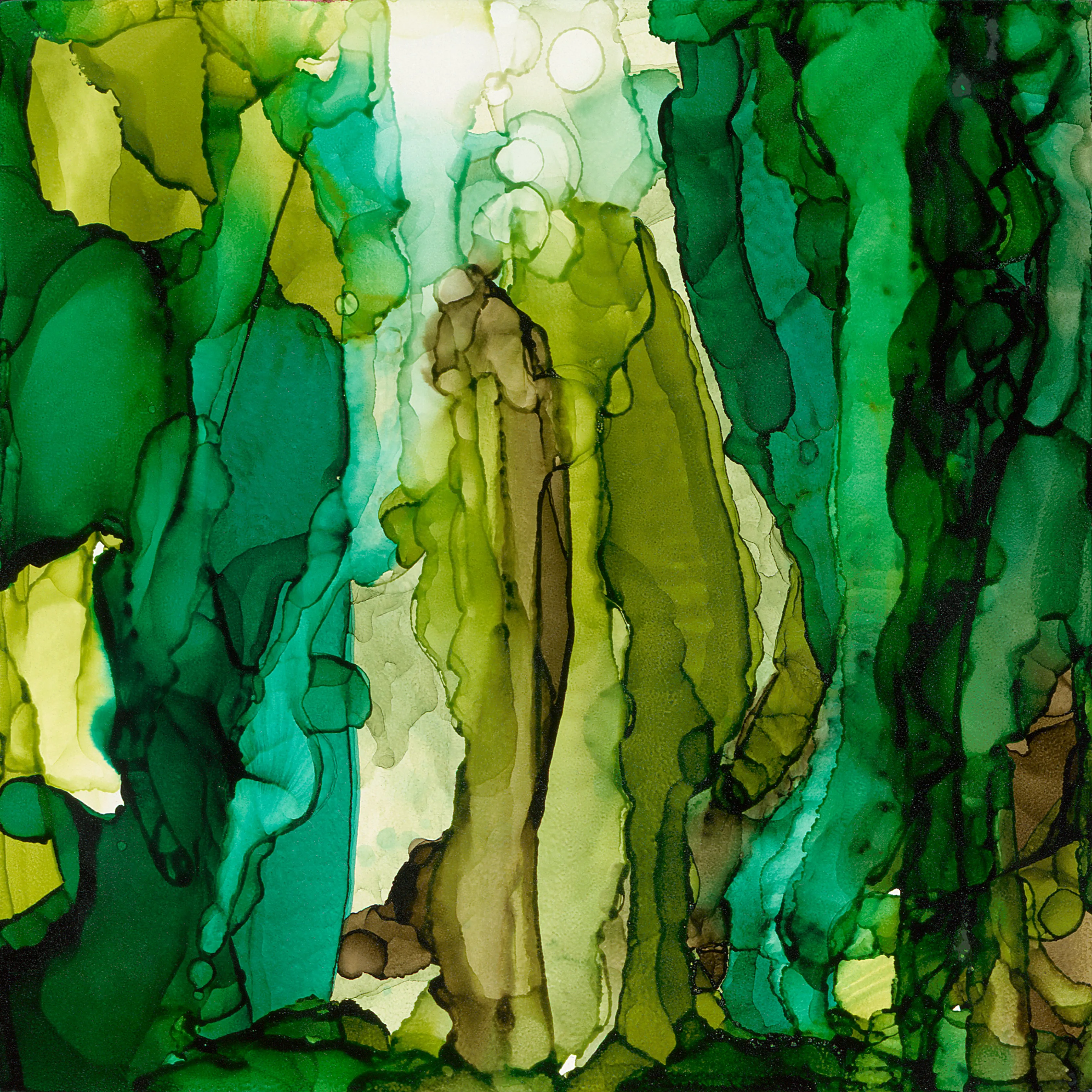 "Forest Through the Trees"