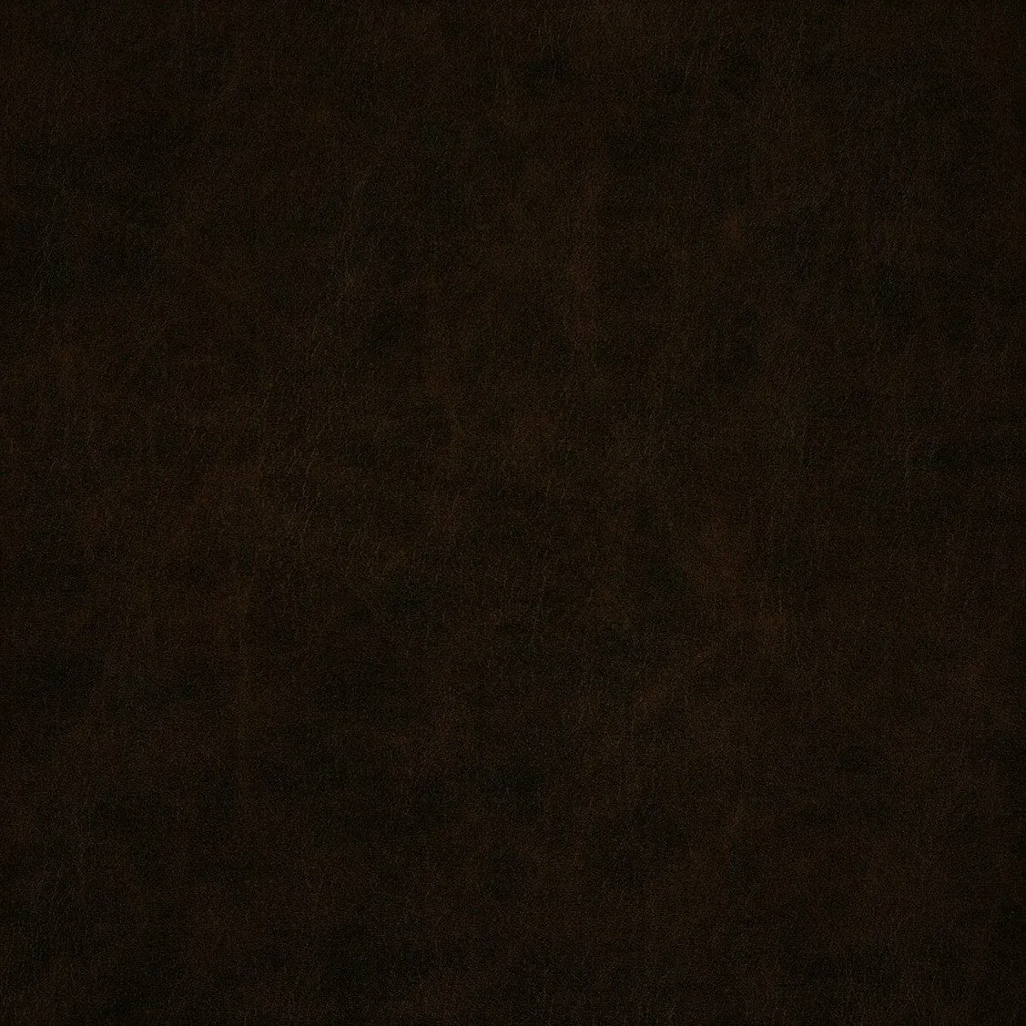 Regent Upholstery Arabica ITP008C