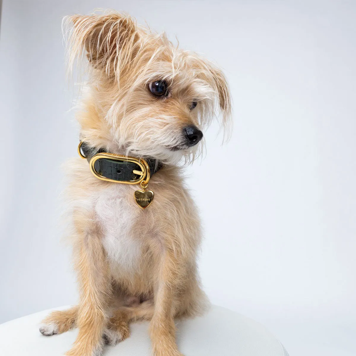 Reversible Pet Collar | Vegan Amica