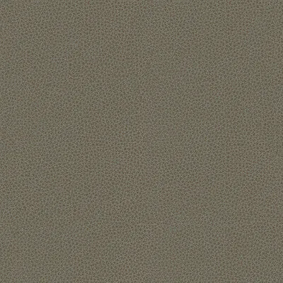 Rigel-11