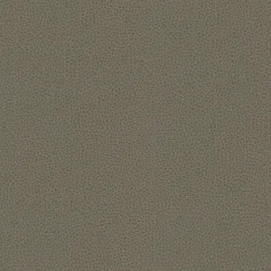 Rigel-11