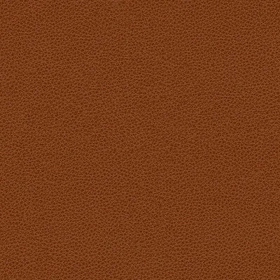 Rigel-24