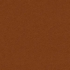 Rigel-24