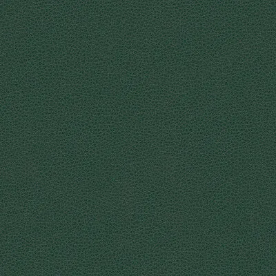 Rigel-5