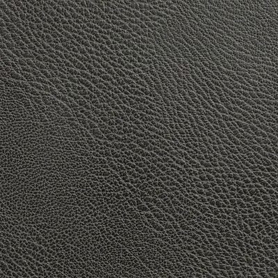 Rustler-Charcoal