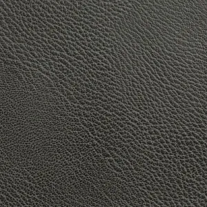 Rustler-Charcoal