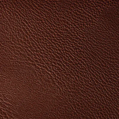 Rustler-Port