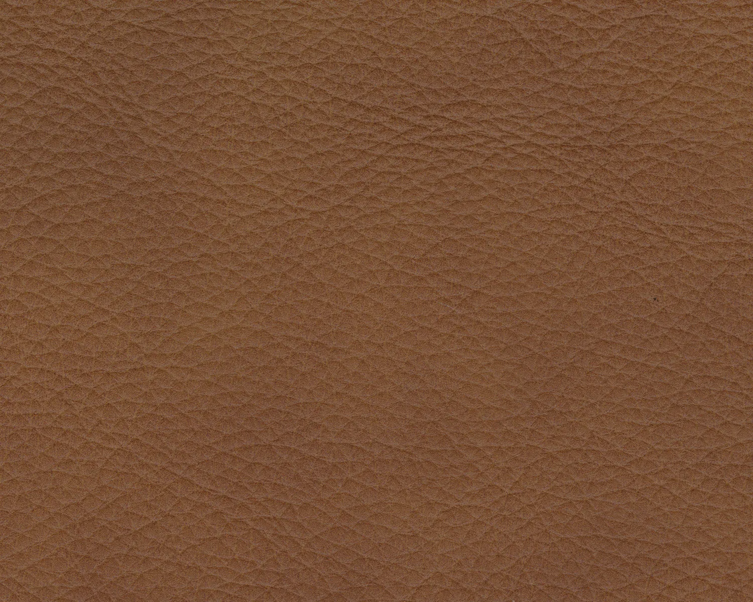 Rylee Leather RAF Recliner