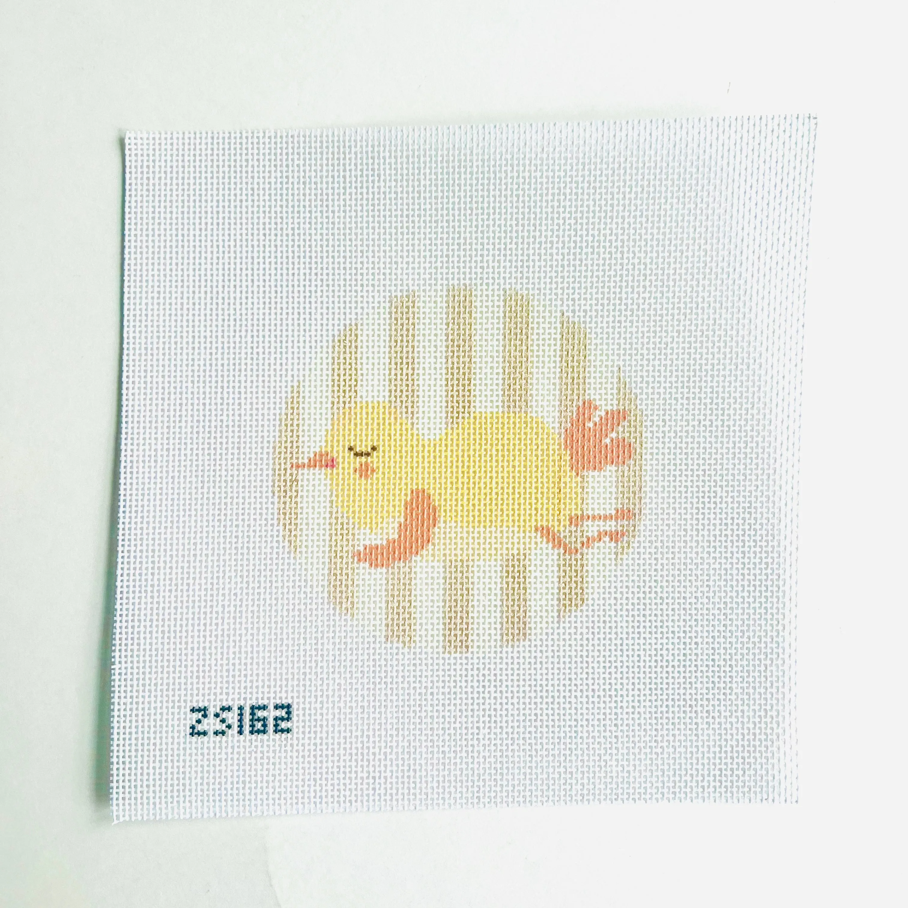 Sleeping Chick Round Printed Canvas