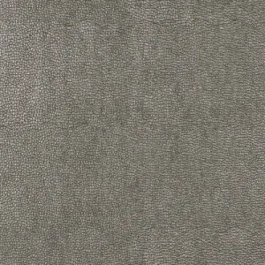 Sparta-11