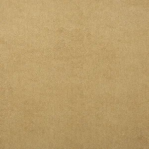 Sparta-1