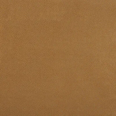 Sparta-4