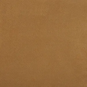 Sparta-4