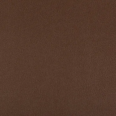 Syrus-Chocolate