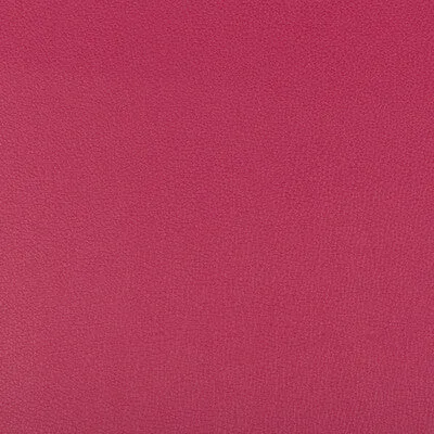 Syrus-Fuschia