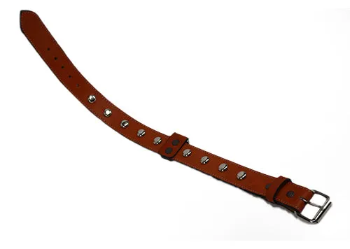 Tan dog collar SKU#DC161