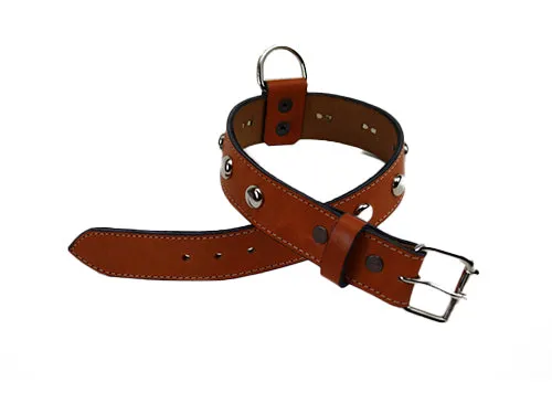 Tan dog collar SKU#DC161