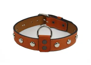 Tan dog collar SKU#DC161