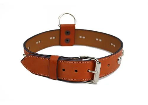 Tan dog collar SKU#DC161
