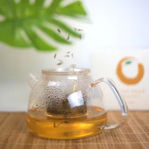TEASPEC Lazy Pour - 900ml (US delivery only)