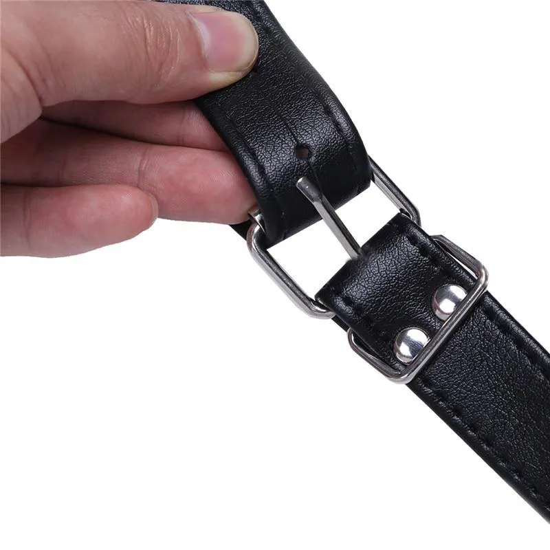 The Hornet Harness