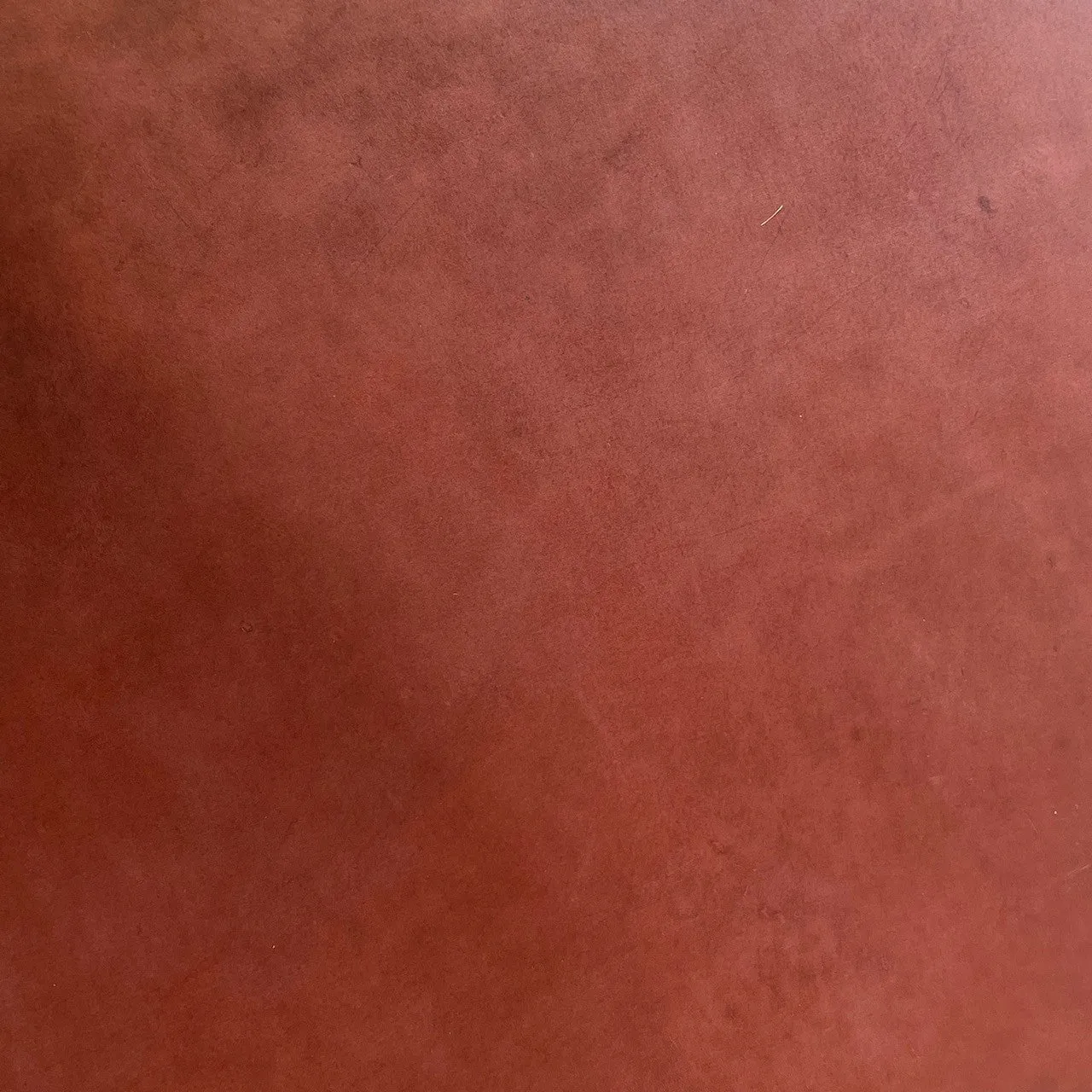 Tosca Buffalo Belting | Tan | 3.8 mm | 8 sq.ft | From $125 ea.