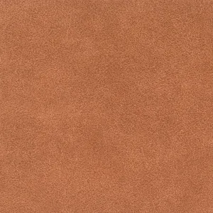 Tucson-Curry