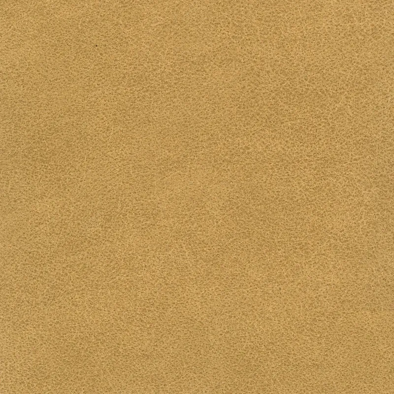 Tucson-Mustard